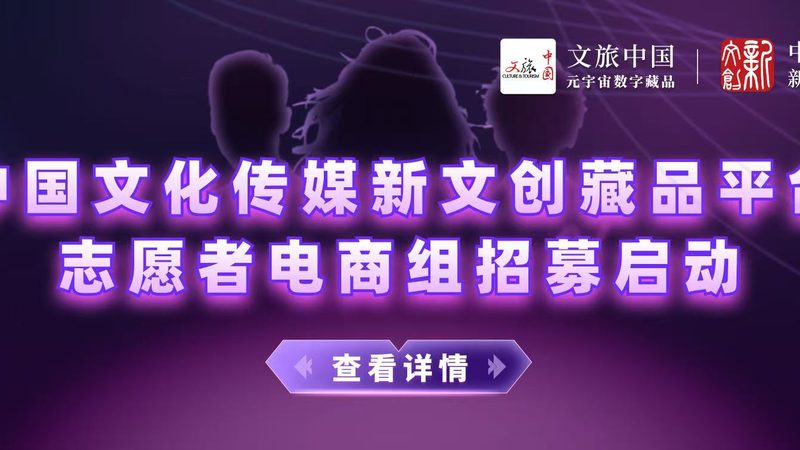 MG动画参数设置：掌握这些标准，让你的作品更上一层楼**